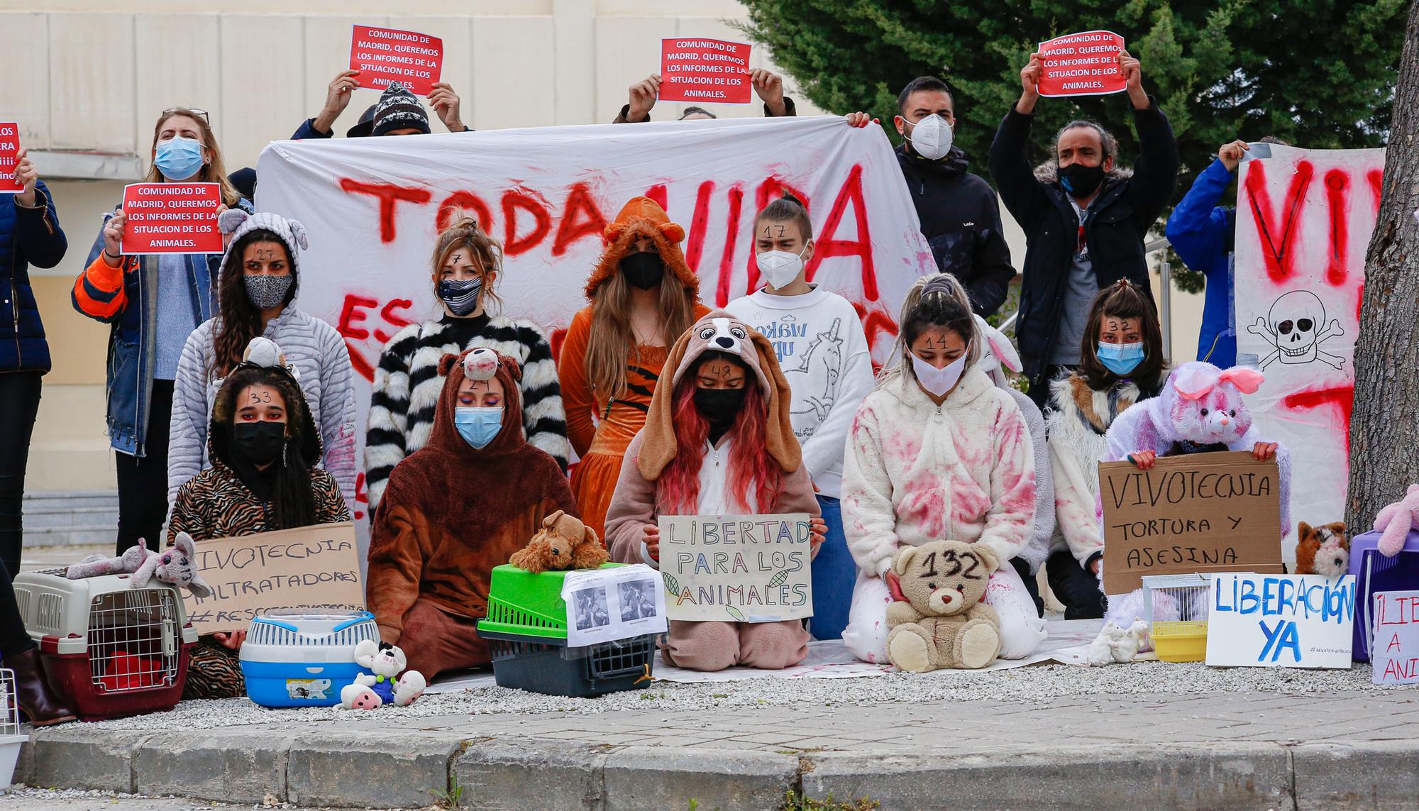 Performance Vivotecnia Tres Cantos - 3